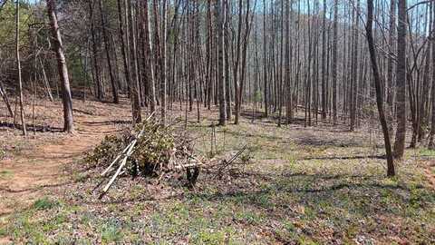 Helton Road, Murphy, NC 28906
