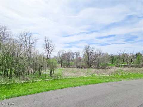 Birkdale Street NW, Canton, OH 44708
