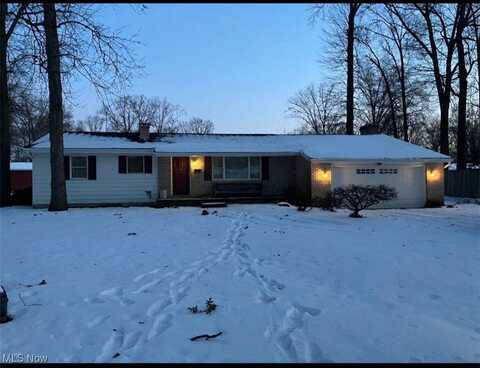 406 Laurel Street, Youngstown, OH 44505