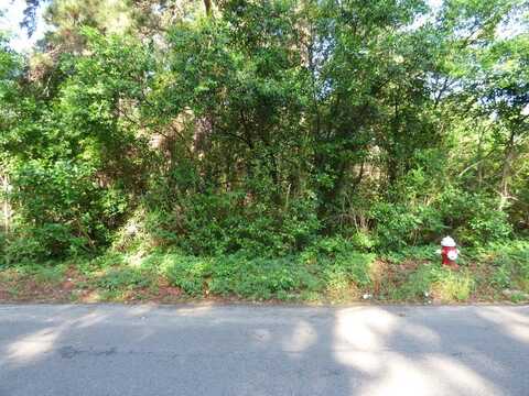 TBD N Ritchie, Nacogdoches, TX 75963