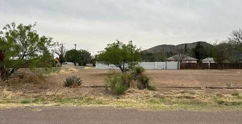 1508 N 6th St, Alpine, TX 79830