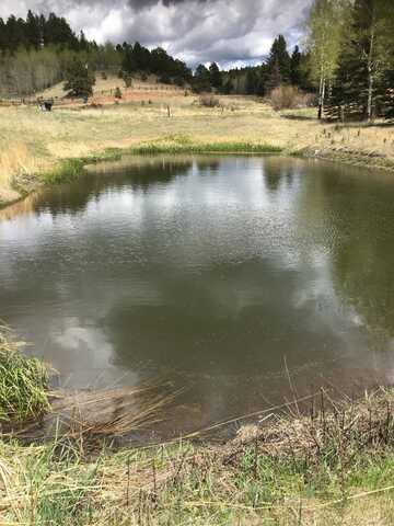974 W Bison Creek Trail, Divide, CO 80814