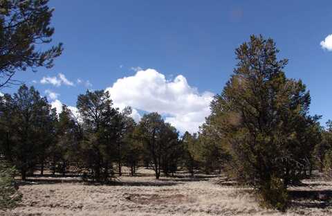 0 Last Frontier Subdivision, Datil, NM 87821