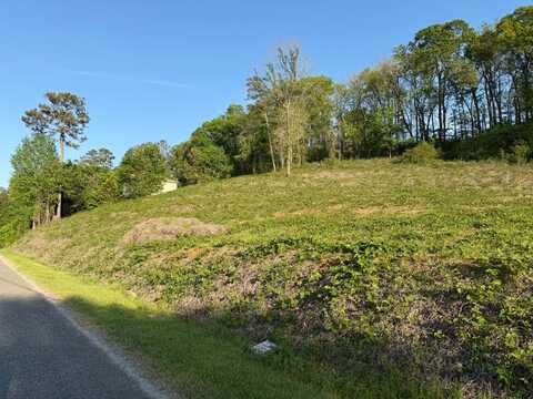 00 Tawannah Cir, Hokes Bluff, AL 35903