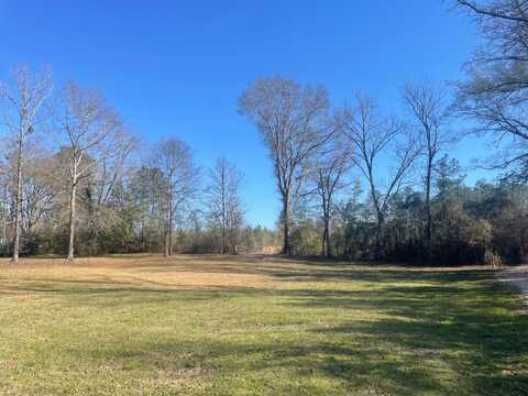 CR 4 Putnam Dr, Putnam, AL 36784