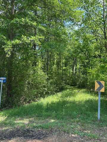 0 Redwing Ave, KOSCIUSKO, MS 39090