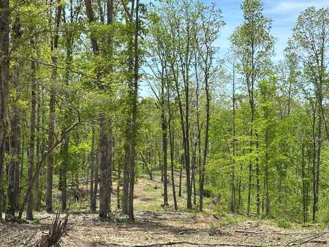 00 Streamside Drive, Dover, TN 37058