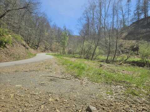 000 Tanner Fork Rd, Shock, WV 26638