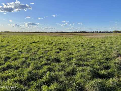 16975 County Rd 100, Jasper, MO 64755
