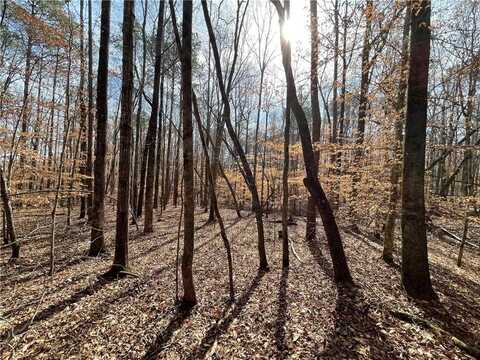 Lee Rd 462 lot: 2, Valley, AL 36854