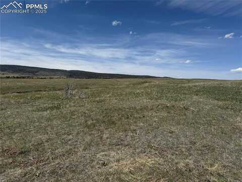 Good Pasture Drive, Beulah, CO 81023