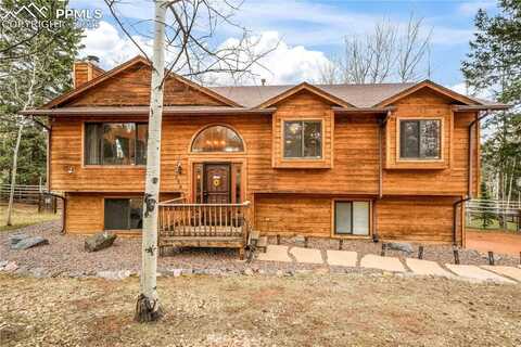 250 Bridle Drive, Woodland Park, CO 80863