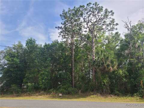 Tbd SE 195th Lane, Dunnellon, FL 34431