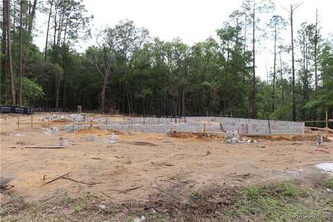 159 N Kinglet Avenue, Hernando, FL 34442