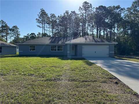 9721 N Lovell Drive, Citrus Springs, FL 34433