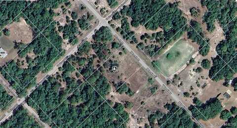 9564 N Cacalia Drive, Crystal River, FL 34428