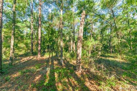 5282 S Robert Blake Avenue, Inverness, FL 34452