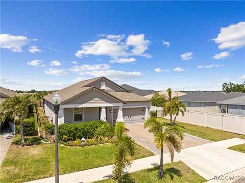 11506 Freshwater Ridge Drive, Riverview, FL 33569