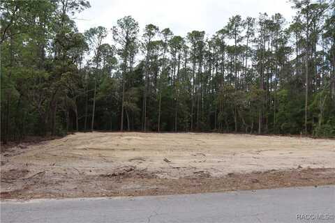 1188 W Tacoma Street, Hernando, FL 34442