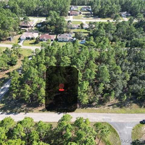 1888 W adelia Place, Citrus Springs, FL 34434