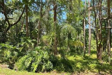 Conifer, ORLANDO, FL 32832