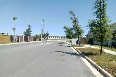 Castillo, OLMITO, TX 78575