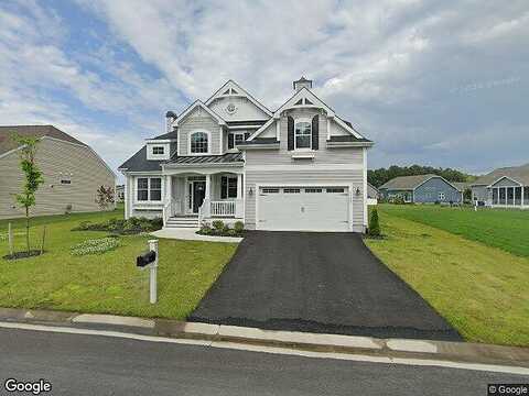 Surfbird, MILLSBORO, DE 19966