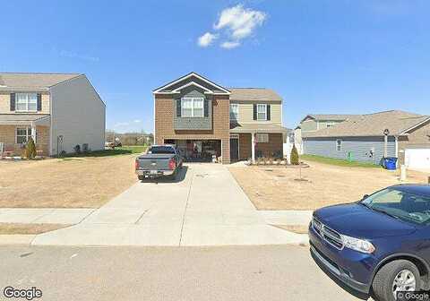 Ryan, CHAPEL HILL, TN 37034