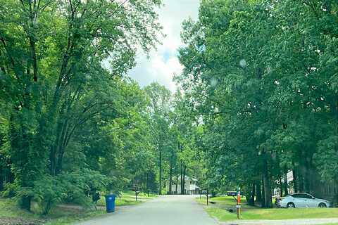 Robert E Lee, NORTH PRINCE GEORGE, VA 23860
