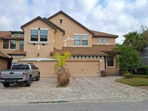 Wandering, WESLEY CHAPEL, FL 33544