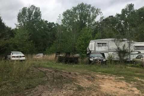 Lewis Grocery Rd, Pittsview, AL 36871