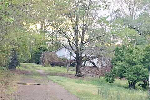Quail, LILLINGTON, NC 27546