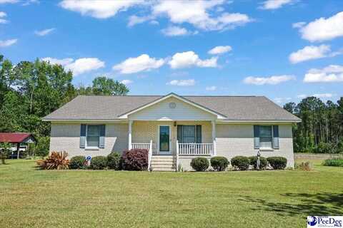 4684 Bluff Rd, Mullins, SC 29574