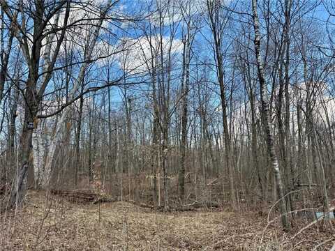1xx Estates Road, Bruno Twp, MN 55756