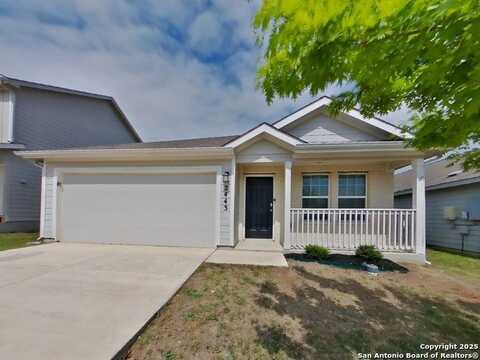 2443 Pechora Pipit, New Braunfels, TX 78130