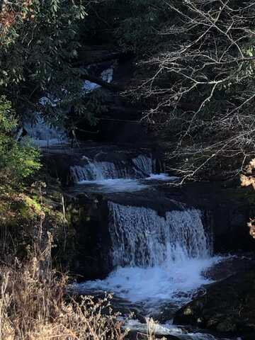 Ellijay, FRANKLIN, NC 28734