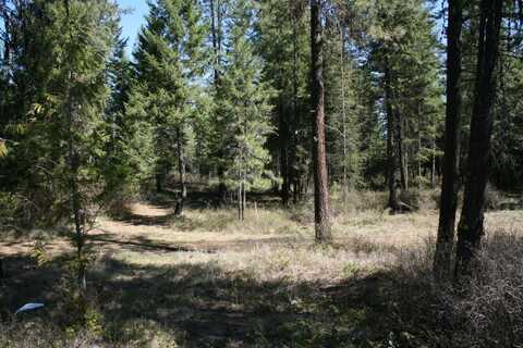 Bowler Rd, Springdale, WA 99173