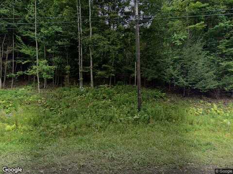 Terrace Dr, Prattsville, NY 12468