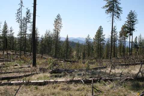 00 Coyote Canyon Rd, Fruitland, WA 99129