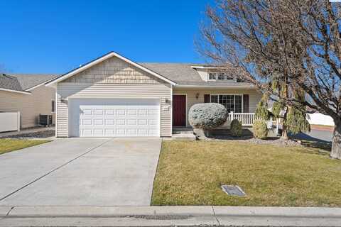 Brittlebush, RICHLAND, WA 99352