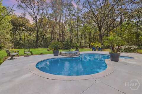 335 Buckland Hall Road, Richmond Hill, GA 31324