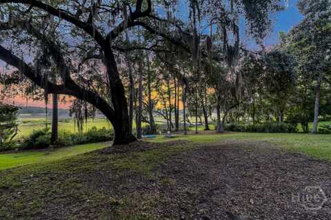 411 Tivoli Marsh Road, Richmond Hill, GA 31324