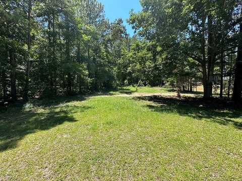 Sorin Circle, Elloree, SC 29047
