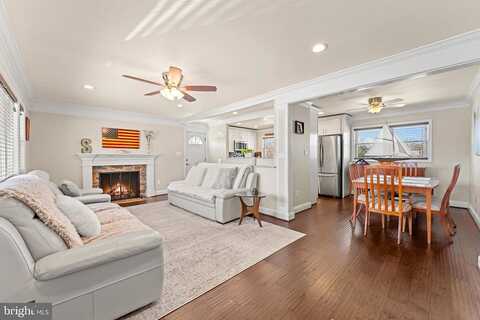 Zekan, SPRINGFIELD, VA 22150