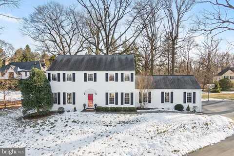 Donalyn, BERWYN, PA 19312