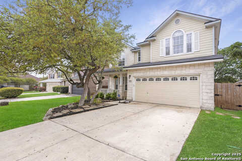 Persian, SAN ANTONIO, TX 78260
