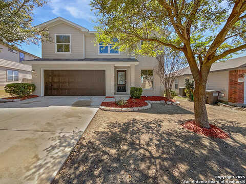 Calypso Dawn, SAN ANTONIO, TX 78252