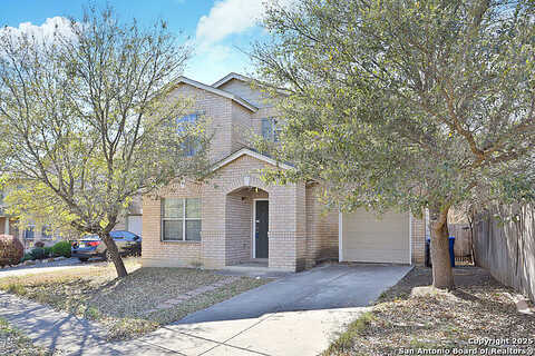 Amberdale Oak, SAN ANTONIO, TX 78249