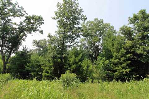 Lot19 Timber Trail, Spring Green, WI 53588