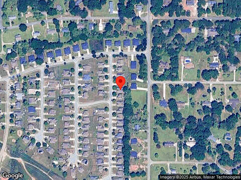 Abelia, BYRON, GA 31008